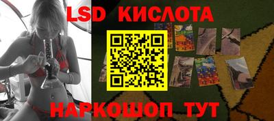 прущие грибы Донской